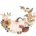 Image Not Available